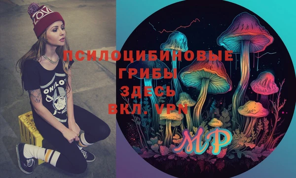 соль курить ск Гусиноозёрск