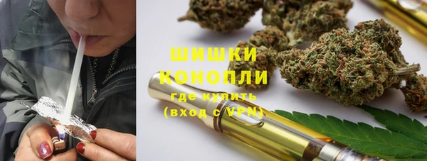 прущие грибы Вязьма
