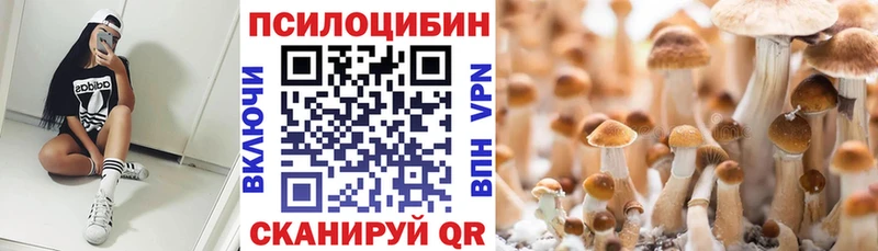 Псилоцибиновые грибы Psilocybine cubensis  omg маркетплейс  Заречный 